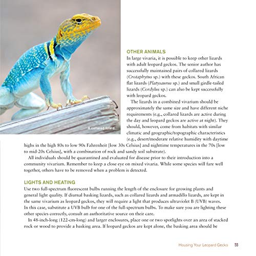 The Leopard Gecko Manual, 2nd Edition (CompanionHouse Books) Informative Guide to Care, Diet, Habitat, Breeding, Raising Hatchlings, Recognizing Diseases & Health Issues, Shedding, Tail Loss, and More
