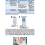 Rapid Review Pathology: With STUDENT CONSULT Online Access