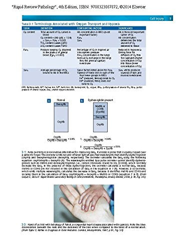Rapid Review Pathology: With STUDENT CONSULT Online Access