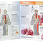 Explore the Human Body