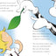 My, Oh My--A Butterfly! All About Butterflies (The Cat in the Hat's Learning Library)