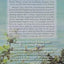 Margaret's Story (Florida Trilogy, 3)
