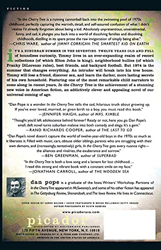 In the Cherry Tree: A Novel