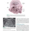 Before We Are Born: Essentials of Embryology and Birth Defects