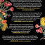 A Slow and Secret Poison: A Novel