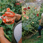 The Flower Farmers: Inspiration and Advice from Expert Growers