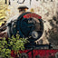 Harry Potter: The Postcard Collection