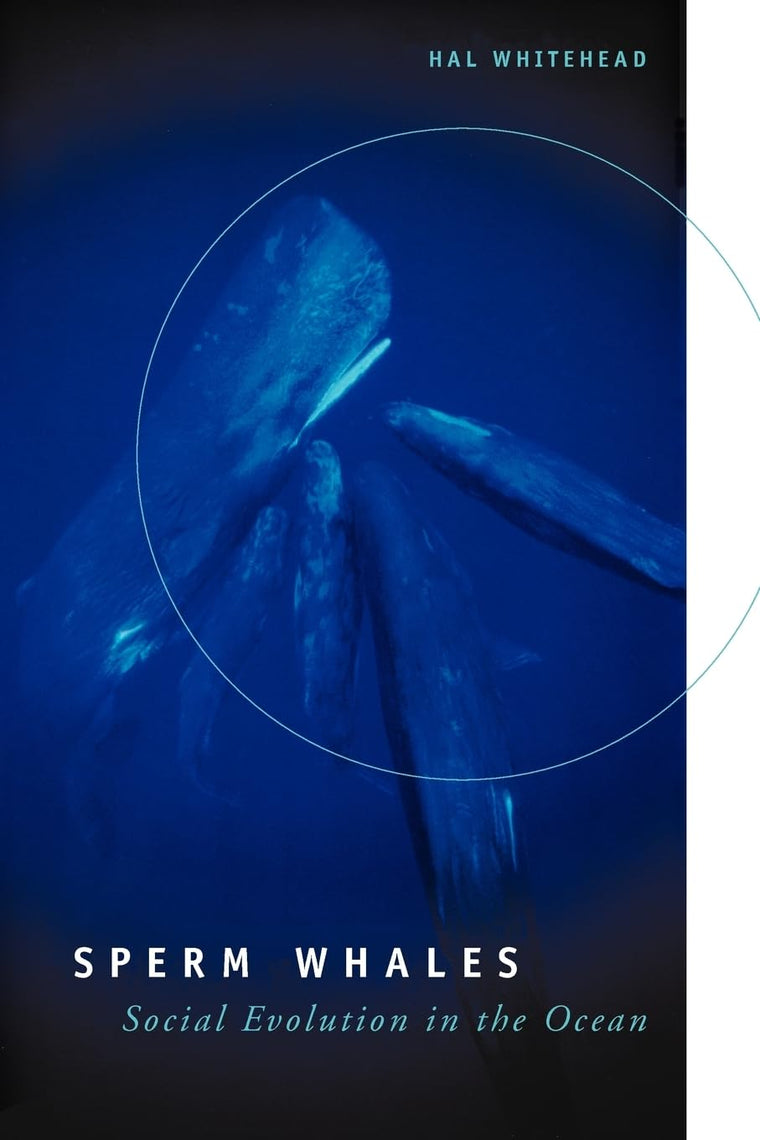 Sperm Whales: Social Evolution in the Ocean