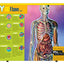 National Geographic Kids Why?: Over 1,111 Answers to Everything (NGK Why?)