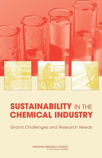 Sustainability in the Chemical Industry: Grand Challenges and Research Needs