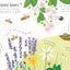 First Questions and Answers: Why do we need bees?