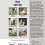 Rat Terrier: A Comprehensive Owner's Guide