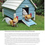 Starter Coops: For Your Chickens' First Home (CompanionHouse Books)