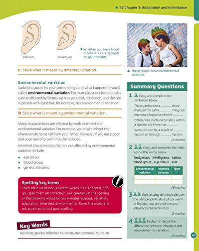 AQA Activate for KS3: Student Book 2