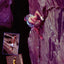 The Rock Warrior's Way: Mental Training for Climbers