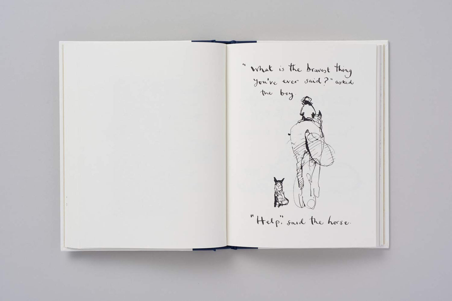 The Boy, The Mole, The Fox and The Horse /anglais