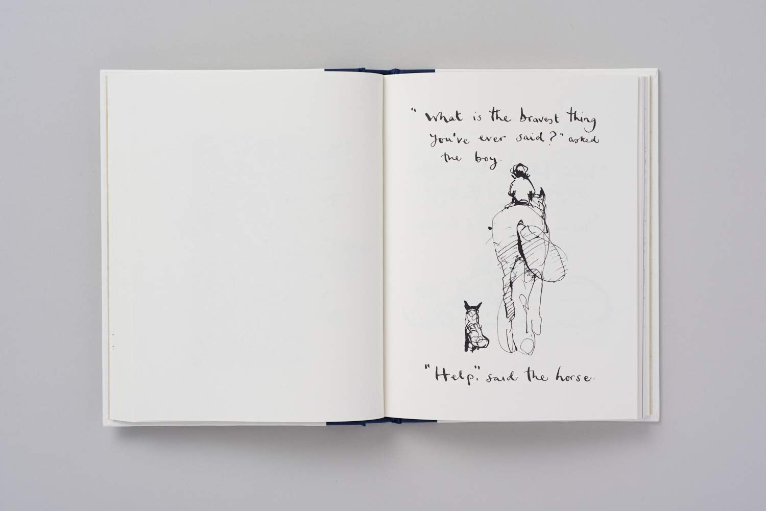 The Boy, The Mole, The Fox and The Horse /anglais