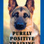 Purely Positive Training: Companion to Competition