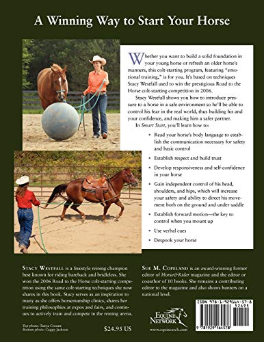 Smart Start: Building a Strong Foundation for Your Horse