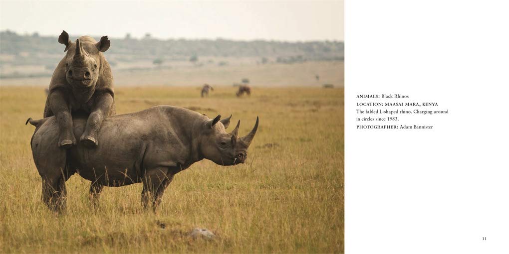 Comedy Wildlife Photography Awards Vol. 3