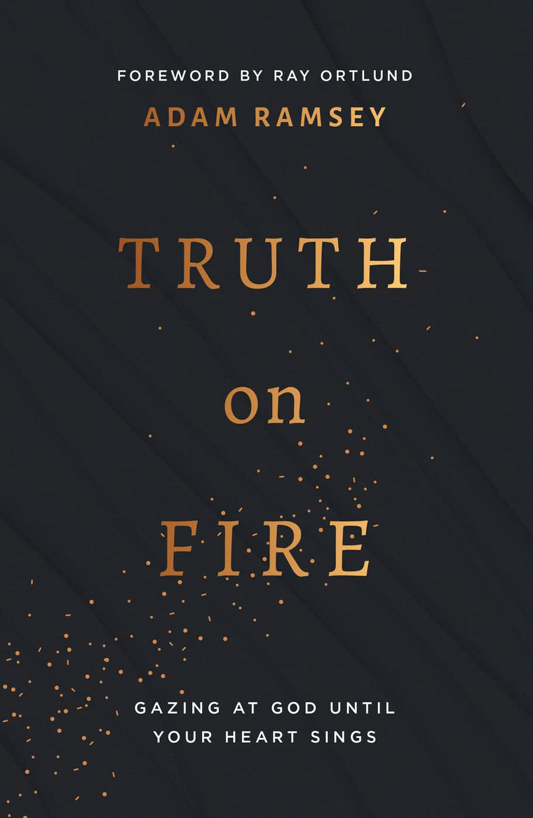Truth On Fire: Gazing at God Until Your Heart Sings (Engage your mind and emotions in your walk with God)