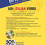 501 Italian Verbs (Barrons Foreign Language Guides) (Italian and English Edition)