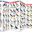 Virginia Birds: A Folding Pocket Guide to Familiar Species (Wildlife and Nature Identification)