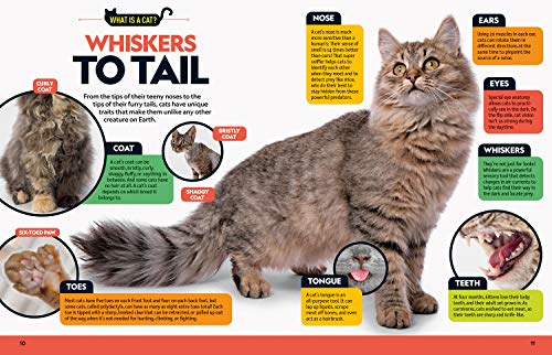 Cat Breed Guide: A complete reference to your purr-fect best friend