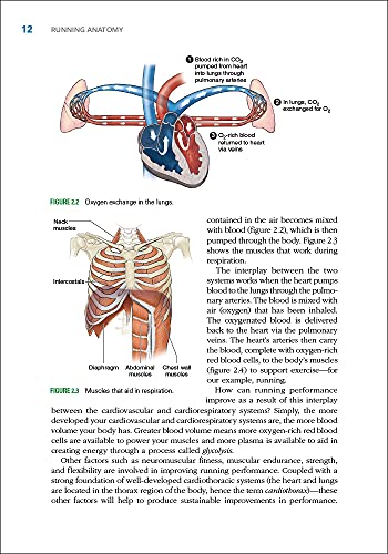 Running Anatomy