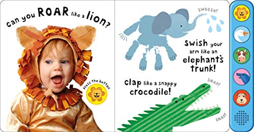 See, Touch, Feel: Roar: A First Sensory Book
