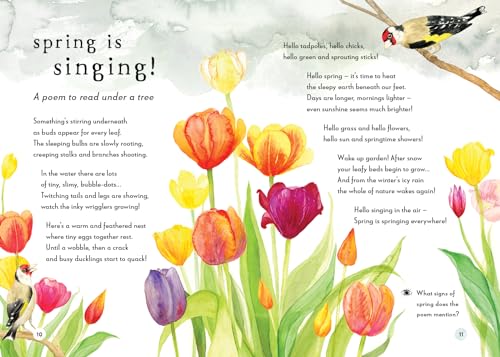 A Field Guide to Spring: Play and Learn in Nature