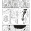 Blood Blockade Battlefront Omnibus Volume 2