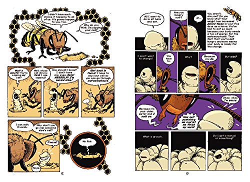 The Way of the Hive: A Honey Bee's Story