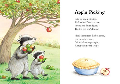 Snuggle Time Fall Blessings (a Snuggle Time padded board book)