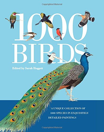 1000 Birds: A Unique Collection of 1,000 Species in Exquisitely Detailed Paintings