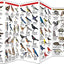Missouri Wildlife: A Folding Pocket Guide to Familiar Animals (Wildlife and Nature Identification)