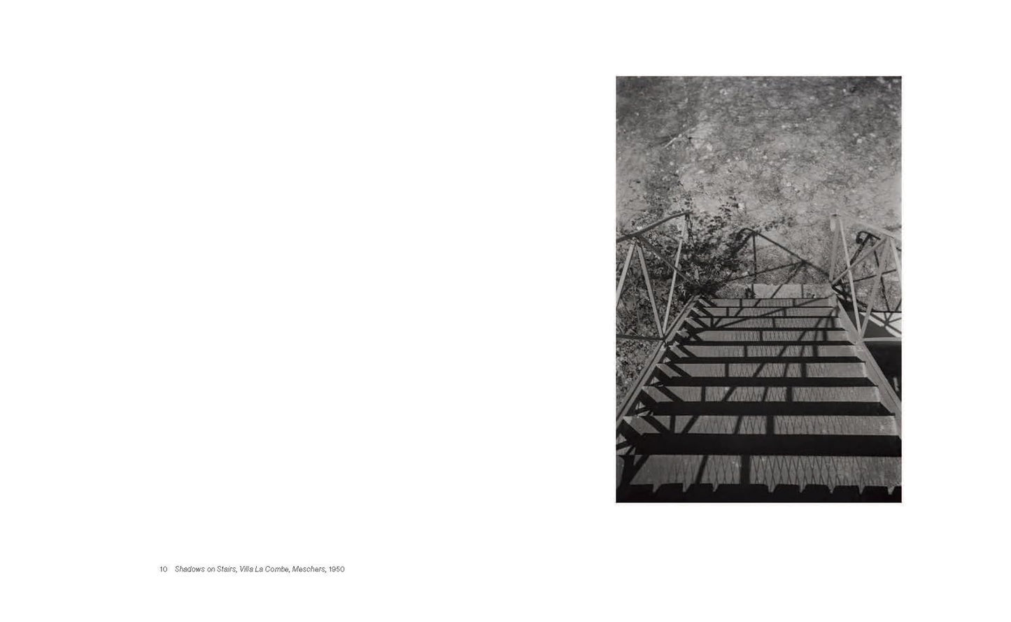 Shape, Ground, Shadow: The Photographs of Ellsworth Kelly