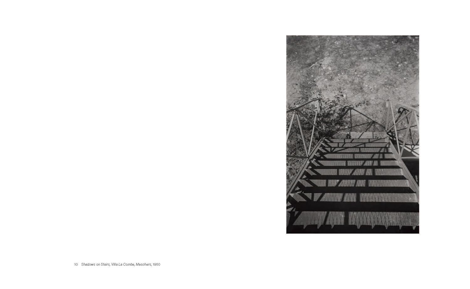 Shape, Ground, Shadow: The Photographs of Ellsworth Kelly