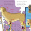 If I Ran the Dog Show: All About Dogs (The Cat in the Hat's Learning Library)