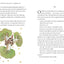 The Little Prince (Collector's Edition): A brand new gift edition of the charming classic illustrated children?s book