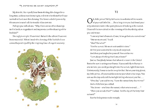 The Little Prince (Collector's Edition): A brand new gift edition of the charming classic illustrated children?s book