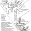 The Botany Coloring Book