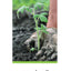 Good Work: Plant Life (TIME FOR KIDS Nonfiction Readers)