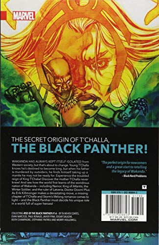 Rise of the Black Panther