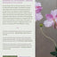 Casting Flowers: A Step-by-Step Guide to Creating Beautiful Botanical Art