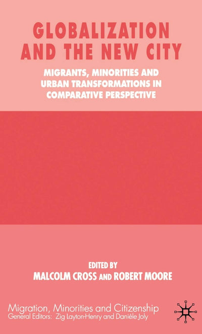 Globalization and the New City: Migrants, Minorities and Urban Transformations in Comparative Perspective (Practical Social Work Series)