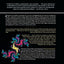 The Fractal Geometry of Nature by Benoit B. Mandelbrot