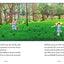 Miss Lady Bird's Wildflowers: How a First Lady Changed America