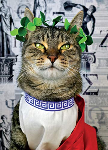 A Cat's Tale: A Journey Through Feline History by Koudounari