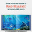 Joelle the Whale Shark Grew and Grew: Growth Mindset (Younger Me Academy)